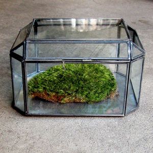 Terrario Geométrico Moderno de Vidrio, Florero de Mesa, Recipiente para Plantas Hidropónicas - Product Image 1