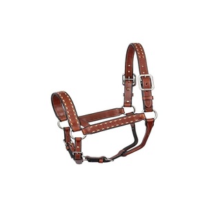 Nuevo Arribo: Cabestro de Cuero Genuino Marrón con Diseño Trenzado Cosido a Mano y Productos Ecuestres - Product Image 2