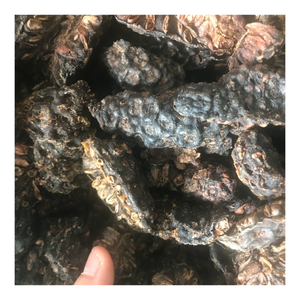 Tranches de Noni séchées transformées pour la préparation de thé et les applications alimentaires, avec une qualité stable et un approvisionnement à l'exportation - Product Image 1