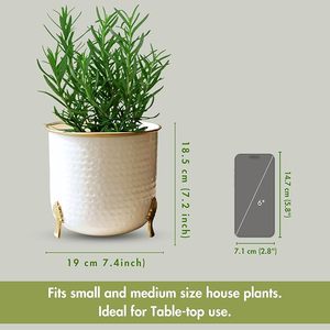 White Flower <b>Pot</b> with Gold Leaf <b>Feet</b> and Rim for Desktop Plants - Product Image 4