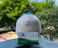 Vietnam berlian memotong kelapa Premium muda minum kelapa dengan air murni secara alami dipangkas dikemas untuk ekspor dan grosir