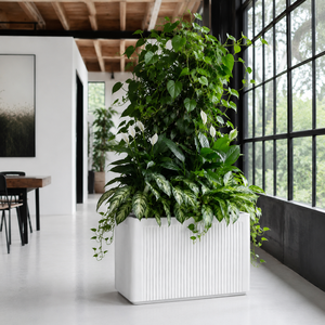 Jardinera Rectangular Moderna Blanca de Fibra de Vidrio con Nervaduras Hieta Garden, 90x40x60cm, para Exteriores, Patio, Maceta - Product Image 6