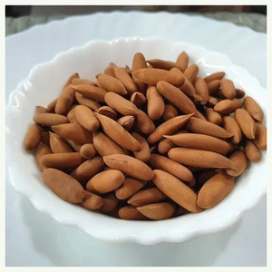 Pignons de pin blanchis de qualité supérieure, prix abordables, amandes de pignons de pin en sac, emballage haut de gamme, biologiques - Product Image 1