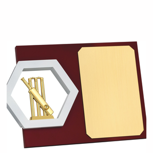 Premium Cricket Wooden Plaques Square Metal And Wood <b>Trophy</b> Elegant Custom Sports Recognition Award For Schools And Clubs - Product Image 2