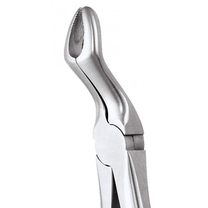 Forceps d'extraction 67A pour molaires supérieures, modèle anglais, en acier inoxydable, instrument chirurgical pour dents de sagesse - Product Image 5