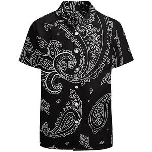 Chemises à manches courtes pour hommes, style plage d'été, en satin tricoté, respirantes, séchage rapide, écologiques, personnalisables en gros - Product Image 5