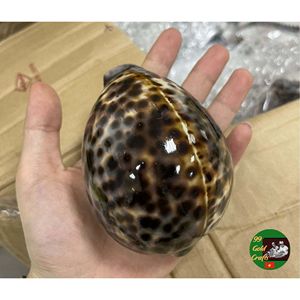 Servilletero de Conchas Marinas Naturales Hecho a Mano, Decoración de Mesa de Lujo para Bodas, Hoteles, Restaurantes y Eventos - Product Image 6