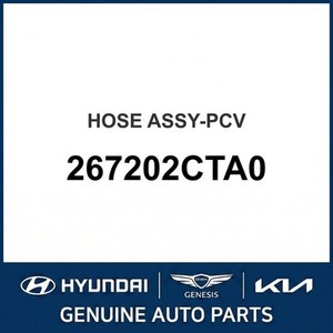 G70 Nouvelles pièces et accessoires pour voitures et camions 267202CTA0 - Product Image 1