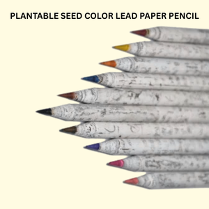 ชุดดินสอสีแบบปลูกได้ MOQ ต่ำ จำนวน 10 แท่ง ทำจากกระดาษรีไซเคิล ปราศจากต้นไม้ และเป็นทางเลือกการเขียนที่ยั่งยืน - Product Image 2