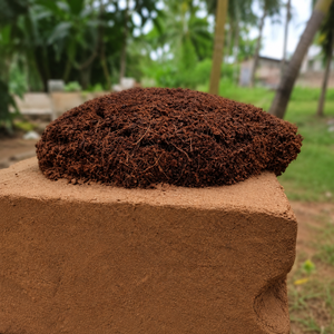 Bloques de Fibra de Coco Triple Lavada de Bajo Contenido Electrolítico (EC) de 5 kg, Certificados ISO, para Cultivadores de Tomate, Invernaderos y Empresas de Mezclas para Macetas - Product Image 1
