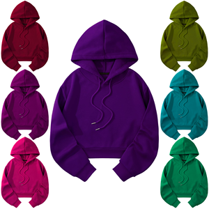 High Quality Wholesale Custom Logo Blank <b>Hoodies</b> Private Label Manufacturer OEM ODM <b>Plain</b> <b>Hoodies</b> 100% Cotton Fleece Sweatshirt - Product Image 1