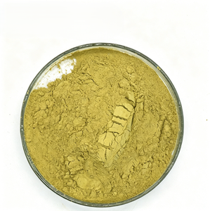 Poudre de Henné de Haute Qualité en Gros, 100% Pure Lawsonia Inermis, Poudre de Mehndi pour Coloration Capillaire, Fournisseur OEM d'Inde - Product Image 2