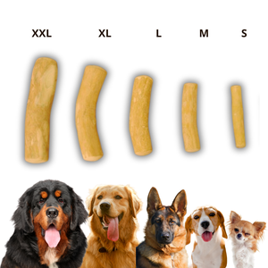 Coffee Wood Dog Chew Natural Hard Wood Stick for Dog Dental Care and Chewing - Product Image 3