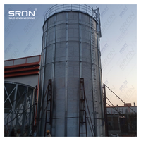 Silos para Granos de Café de Capacidad Personalizada - Acero Galvanizado en Caliente de Grado Profesional, Buena Hermeticidad, Monitoreo PLC SIMENS, EPC Llave en Mano