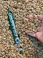 HANCOFFEE Haricots expresso de spécialité Arabica rôtis moyens de haute qualité SCA Score 83-88 Goût neutre Sac emballé traité dans la nature