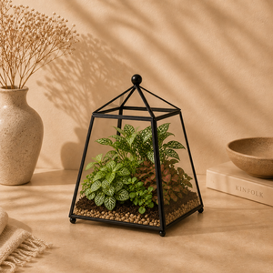 Wholesale Handcrafted Irregular Geometric Glass Terrarium Black Finished Iron <b>Frame</b> for Home Garden Succulent <b>Plant</b> Display - Product Image 6