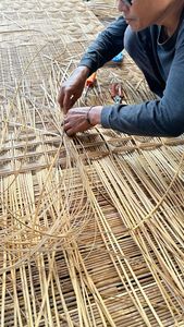 Plante de rotin de qualité supérieure pour l'artisanat et le tissage : Approvisionnement et préparation de matériaux structurés au Vietnam - Product Image 4