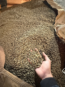 เมล็ดกาแฟโรบัสต้าแบบทั้งเมล็ด คาลโรส สไตล์ดิบ อบแห้ง แปรรูปจากเวียดนาม อายุการเก็บรักษา 3 ปี GT7 ตงไห่ 30 กก. - Product Image 4