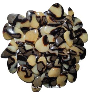 Cabochon de Septarien Jaune Naturel, Pierre Précieuse en Vrac Certifiée par un Tier Tiers, 20-40mm, Poli à la Main, Dos Plat Lisse, Coupe Ovale pour Bijoux - Product Image 2