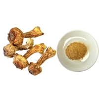 Thé santé, poudre de champignon Agaricus Blazei broyée