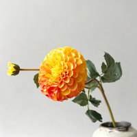 Fleurs artificielles en soie Dahlia à 2 têtes, longues tiges, pour vase de maison, centre de table de mariage