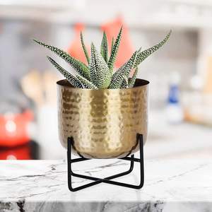 Pot en verre martelé en métal (pot doré avec support rond noir) pour plantes de table, décoration de la maison et du bureau - Product Image 6