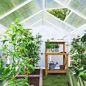 Serra da Giardino Walk-In per Coltivazione, Non Supportata da Strutture di Sostegno, Non Adatta per Prodotti con Difetti - Product Image 5