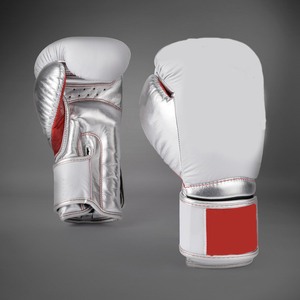 ARTES MARCIALES: Guantes de Boxeo |   Guantes de Entrenamiento y de Boxeo |   Cierre de Gancho y Bucle Ajustable de Material PE, Ligero, para Adultos - Product Image 1