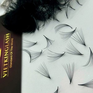 Extensiones de Pestañas Premade en Abanico, Base Puntiaguda, Volumen Completo, Hechas a Mano en Fábrica, Curvatura D/DD/CC/M/L, Grosor 0.03 0.05, Negro Mate Estrecho - Product Image 1