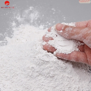 Vente Chaude Poudre de Carbonate de Calcium Moulu Haute Blancheur 800 Mesh pour la Construction Nhat Thang VNT 7 Modèle VNT-37 - Product Image 3