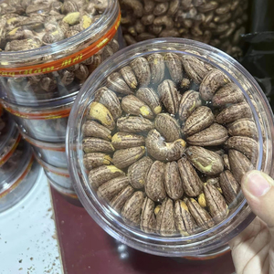 Premium Vietnamese Cashew Nuts Salted Roasted High Quality Ready to Export Bulk Wholesale Supplier Best Price - Product Image 1