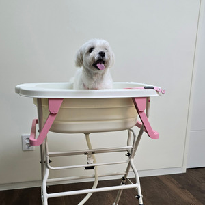 Soporte para Bañera de Mascotas HEDYS GROOMING, Estilo Bonito, Ajustable, Portátil, 3 Niveles de Altura, Plegable, Estructura Estable, para Perros, PP/Aluminio/PTE - Product Image 1