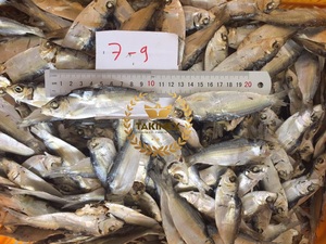 ปลาเฮอริ่งแห้งจากเวียดนาม - Product Image 2