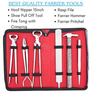 Kit de Herramientas de Herrador con Lima de Raspado, Extractor de Zapatos de Alta Resistencia, Cortaúñas para Cascos, Pinza de Sujeción, Pinza para Fuego, Pinza para Clavos y Martillo para Herrar - Product Image 2