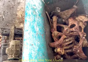 Dead Animal <b>Shredder</b> Machine Capacity 2500 kg/hr Double Shaft Semi Automatic Electric Meat Processing Machinery - Product Image 5