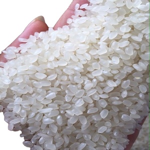 ข้าวญี่ปุ่นคุณภาพสูงสำหรับซูชิ ข้าวญี่ปุ่นทรงกลม 5% ข้าวหัก จากเวียดนาม ส่งออกไปยังสหภาพยุโรป ออสเตรเลีย แอฟริกา LINDA - Product Image 5