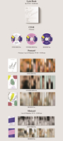 SEVENTEEN - 8ème mini-album 'Your Choice' CD Pop Musique coréenne