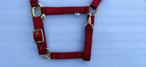Halter de Nailon de Alta Calidad para Caballos y Mulas con Correa a Juego, Resistente, Duradero y en Colores Vibrantes, Disponible en Todos los Tamaños - Product Image 2