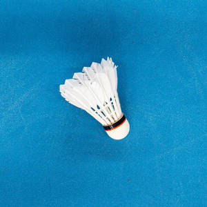 Professional RX Sports Custom Logo Design Eco-Friendly Air Flare <b>Shuttlecock</b> 4.74g for Badminton and Indoor/Outdoor Use - Product Image 5