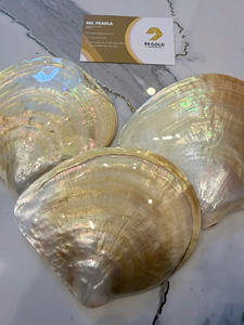 Plaque en nacre naturelle irisée |   Gloss arc-en-ciel rose, noir et jaune 100% biologique |   FINITION POLIE 15CM - 30CM - Product Image 3