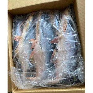 ปลาแพนกาซิอุสแช่แข็งคุณภาพพรีเมียม ขายส่งจำนวนมาก พร้อมจัดส่ง เกรดอาหาร ส่งออกทั่วโลก - Product Image 1