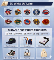Imprimante d'étiquettes 3D UV TX800 pour logos tridimensionnels, patchs en silicone et TPU pour tissus textiles