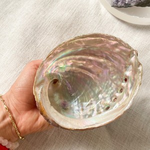 Cheap price <b>abalone</b> <b>shell</b> wholesale sea <b>shells</b> for coastal decoration natural raw seashell - Product Image 3