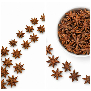 Vietnam Manufacturer Supply Wholesale Price International Standard Best Selling Star Anise Bulk Supply - Product Image 6