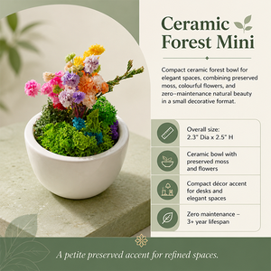Mini tazón de cerámica con flores secas preservadas, hecho a mano, 2.3x2.5 pulgadas, maceta de escritorio ecológica de bajo mantenimiento, de larga duración, para Acción de Gracias - Product Image 6