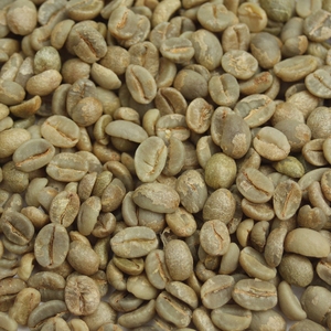 Premium Green <b>Bean</b> Supply Of Robusta Coffee With Bold Roast Character Bulk Export Packaging For Importers And Wholesalers - Product Image 6