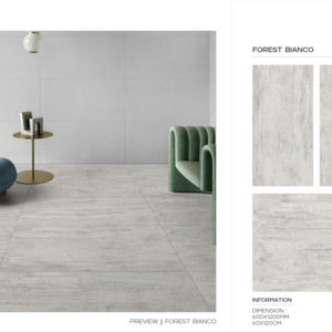 Azulejos de Porcelana Minimalistas con Acabado Mate, Formato Grande de 600x1200 mm, para Pisos y Paredes Interiores Residenciales y Comerciales con Estilo - Product Image 1