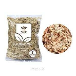 มอสส์สฟากนัมแห้งคุณภาพสูง 2 ลิตร วัสดุปลูกออร์แกนิก น้ำหนักเบา ดูดซับน้ำได้ดี สำหรับพืช - Product Image 2