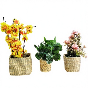 Jardinière en herbe Moonj colorée, tressée à la main, sculptée - Product Image 1