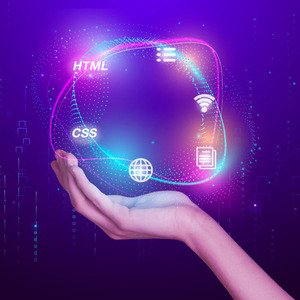 ECommerce <strong>Website</strong> Design | Premium Enterprise Digital Marketing <strong>Service</strong> with Shopify - Product Image 1